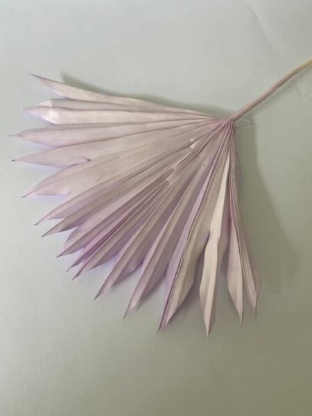 Light Purple 