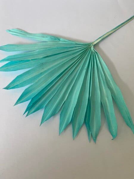 Aqua