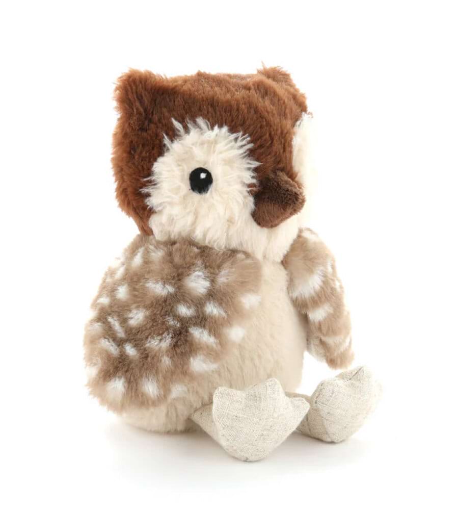 Oscar The Owl