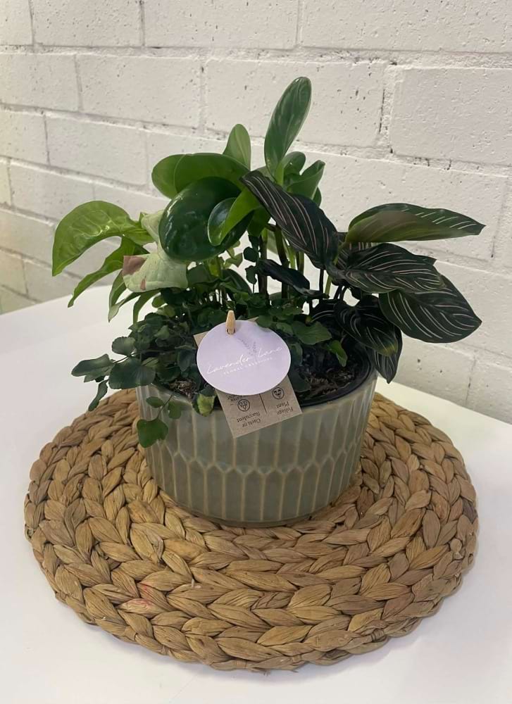 Ceramic Mixed Garden