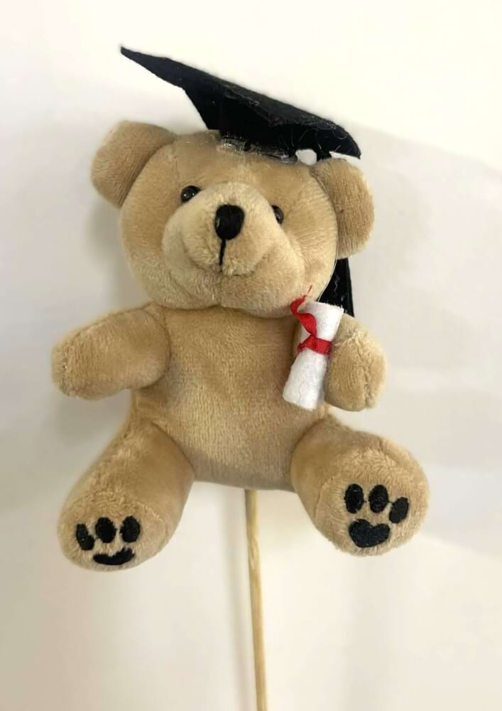 Graduation Bear on a Stick