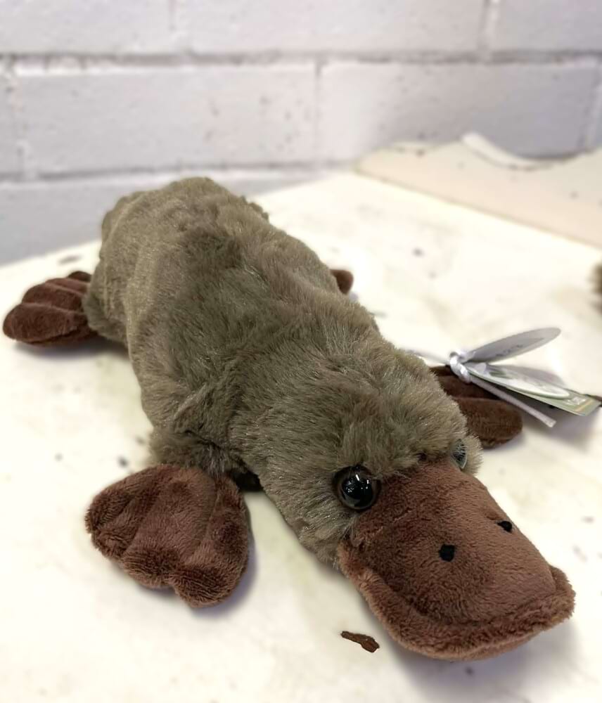 Pete The Platypus