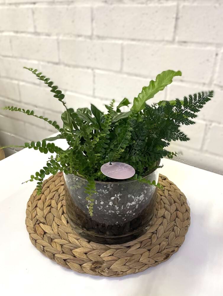 Low Cylinder Terrarium
