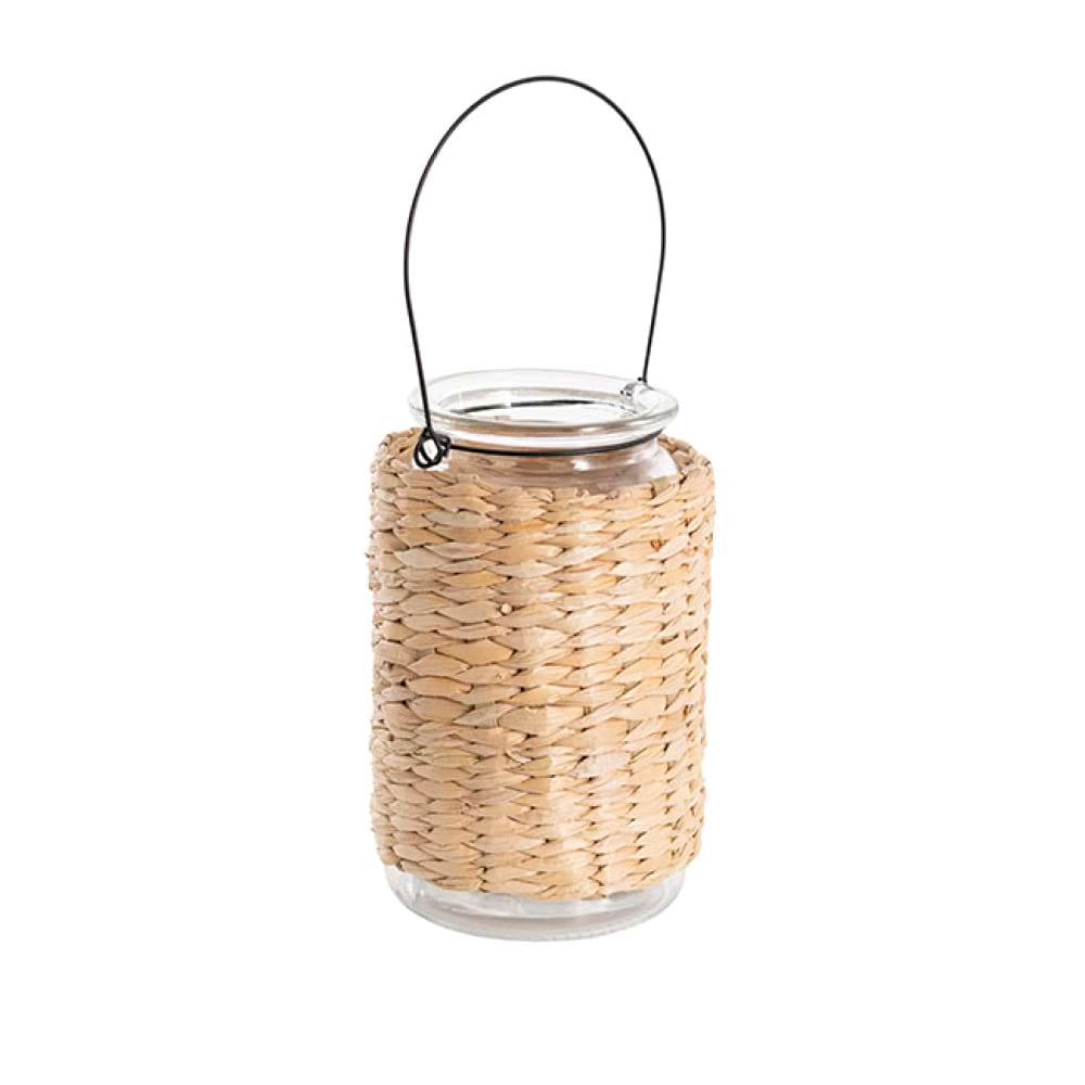 Glass Vase Metal Handle 