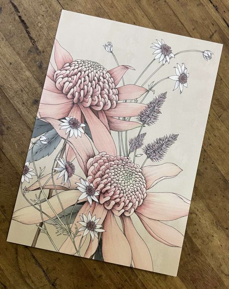 Waratah & Flannel Flower