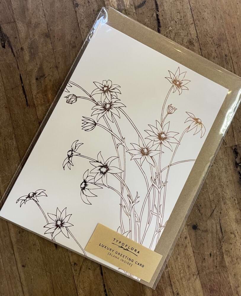 Flannel Flower - Embossed 