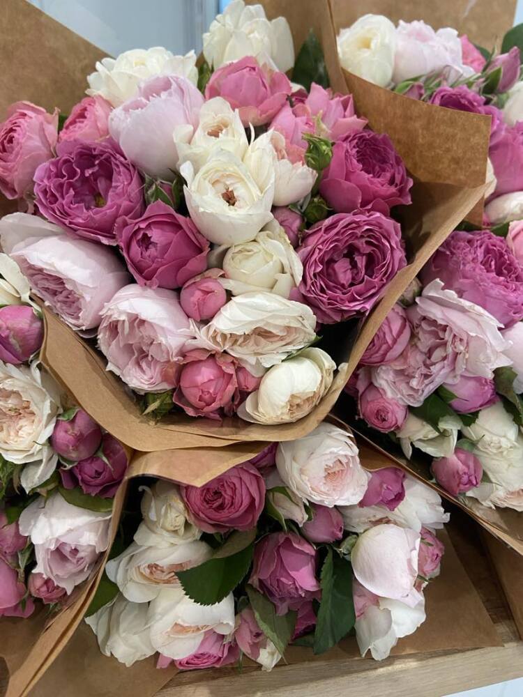 David Austin Rose Posy 